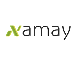 Developer Amay Properties